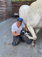 Haltung und Hufe für gesunde Pferde - Onlinekurs