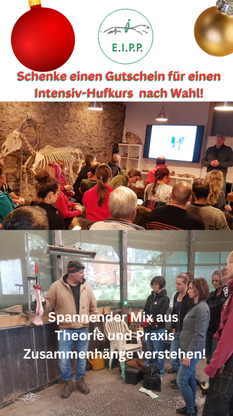 Geschenk-Intensiv-Hufkurs