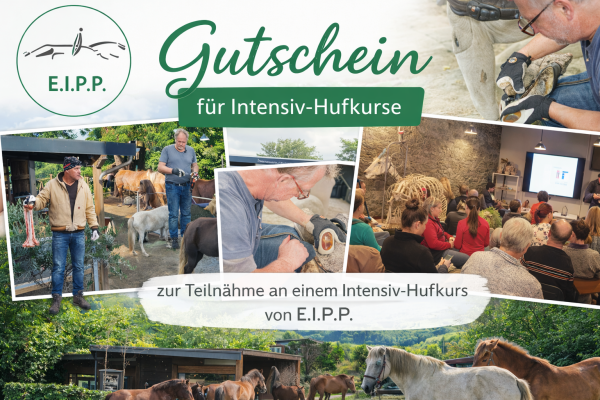 Geschenk-Intensiv-Hufkurs