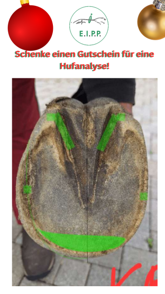 Huf Check up-Geschenk