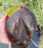 Huf Check up-Geschenk