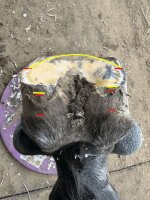 Huf Check up-Geschenk