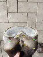 Huf Check up-Geschenk