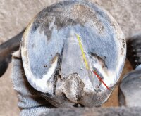 Huf Check up-Geschenk