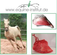 Je suis élève jusquà 21 ans / étudiant ou redoublant et je bénéficie dune réduction de 20%.