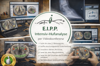 Hufanalyse - Huf Check up